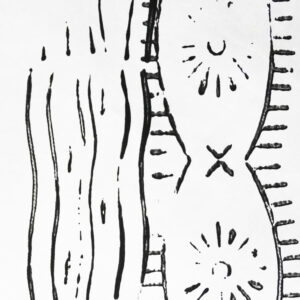 009